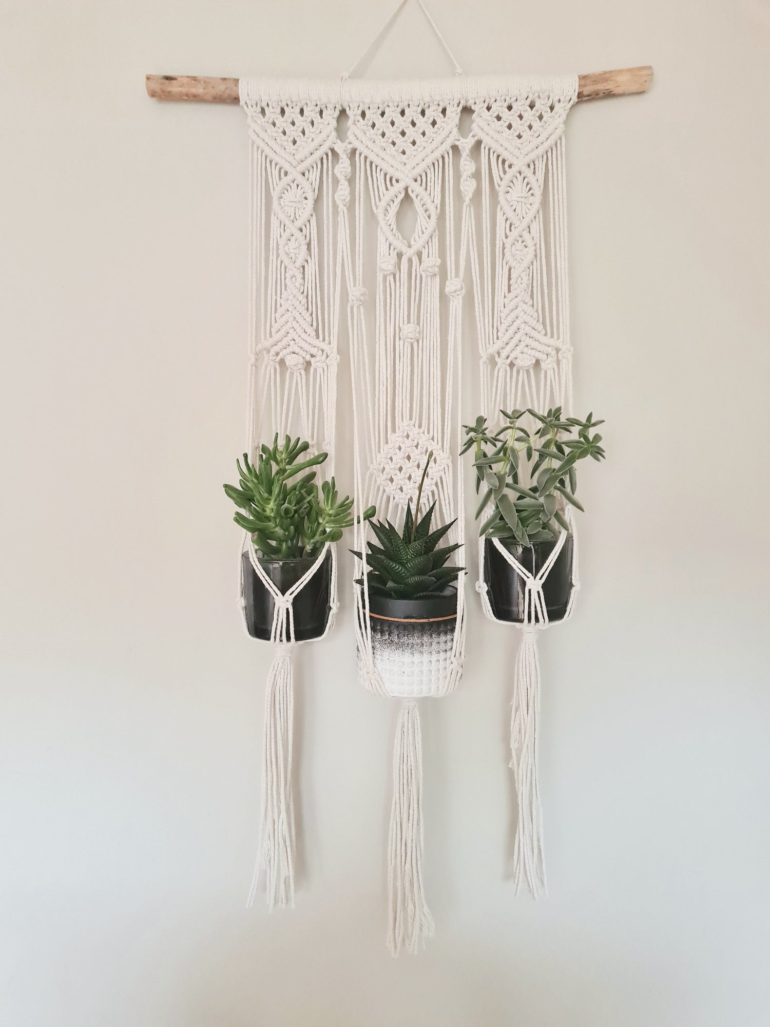 Plant Hangers